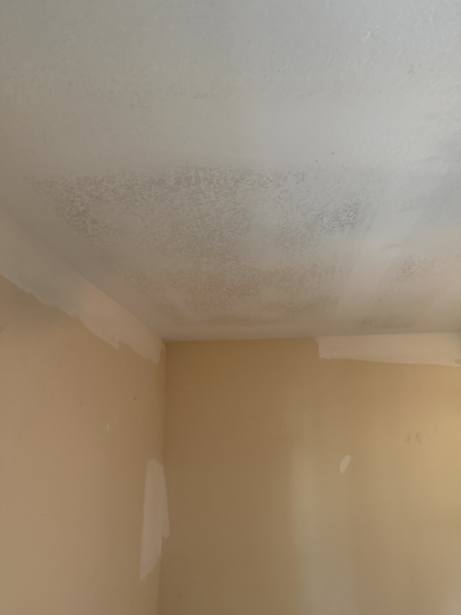Repaired textured bathroom ceiling after repiping in Melbourne FL